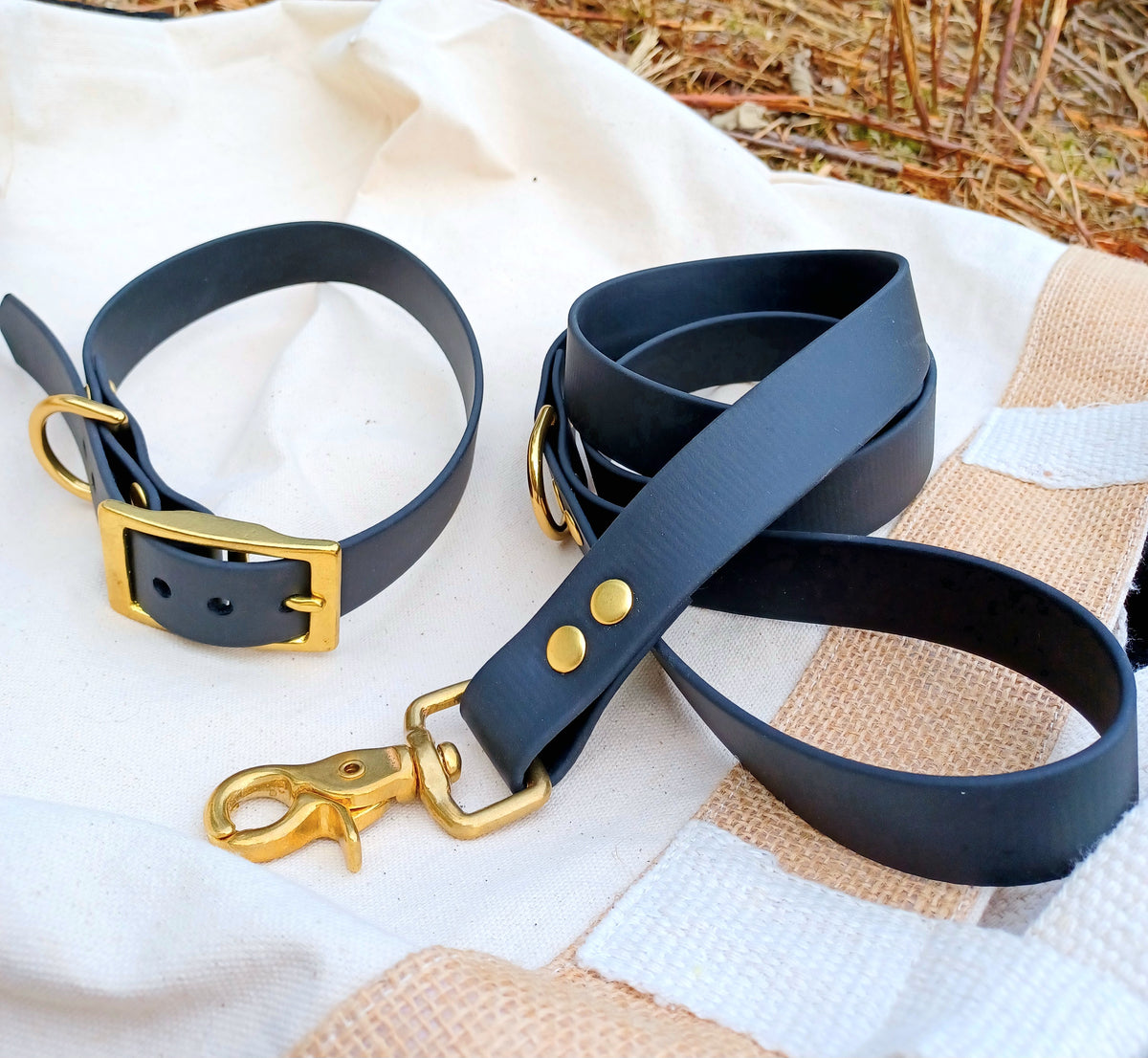Collier basique + laisse courte