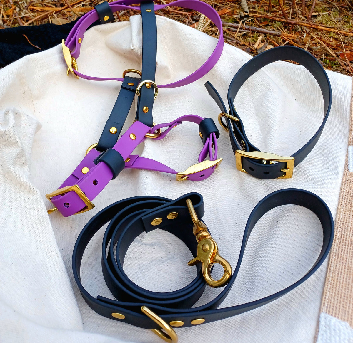 Collier basique + harnais + laisse courte