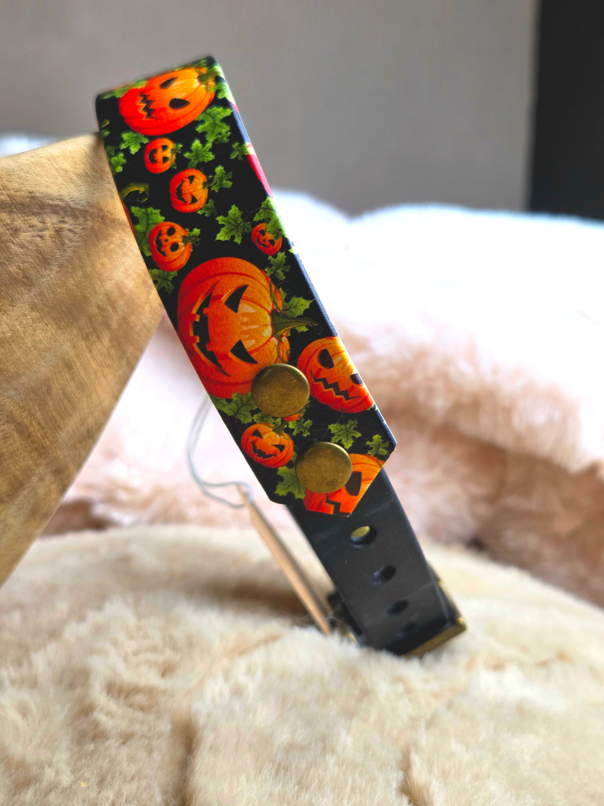 Collier confort HALLOWEEN S